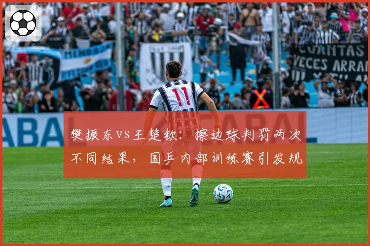 樊振东vs王楚钦：擦边球判罚两次不同结果，国乒内部训练赛引发规则讨论