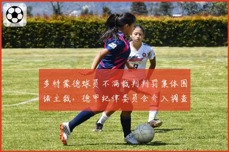 多特蒙德球员不满裁判判罚集体围堵主裁，德甲纪律委员会介入调查