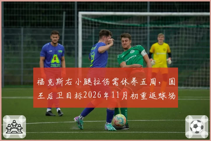 福克斯右小腿拉伤需休养五周，国王后卫目标2026年11月初重返球场