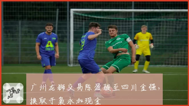 广州龙狮交易陈盈骏至四川金强，换取于枭永加现金