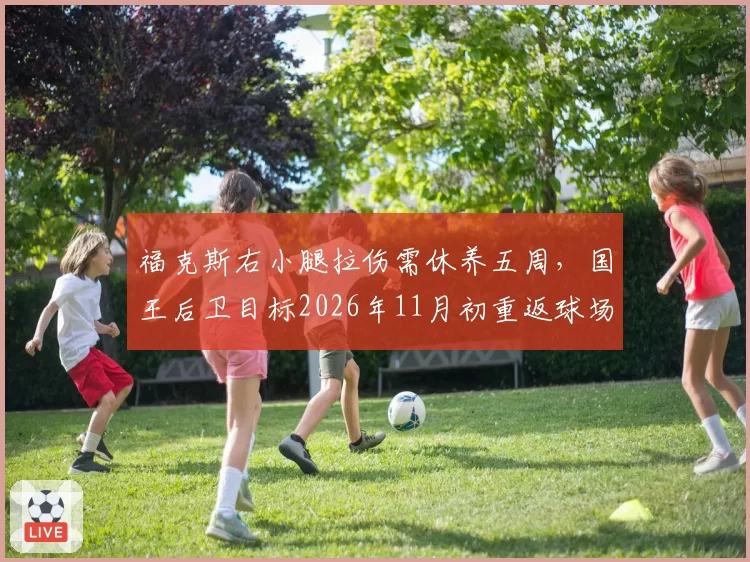 福克斯右小腿拉伤需休养五周，国王后卫目标2026年11月初重返球场